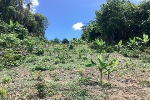 Land in Khok Kloi, Thailand № 125030 - photo 9