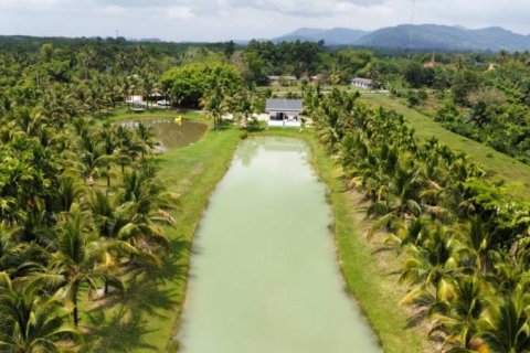 Studio in Khok Kloi, Thailand № 124924 - photo 2