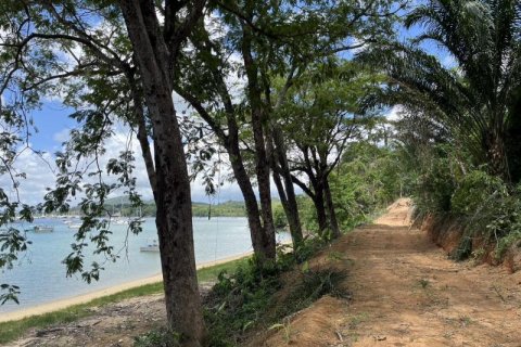 Land in Khok Kloi, Thailand № 125030 - photo 3