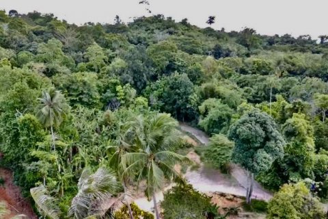 Land in Khok Kloi, Thailand № 125030 - photo 4