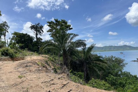 Land in Khok Kloi, Thailand № 125030 - photo 5