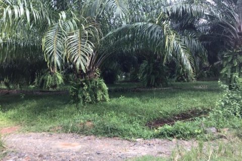 Земельный участок в Кхок Клое, Таиланд  № 124988 - фото 6