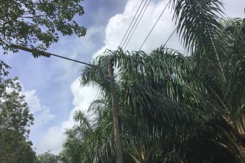 Земельный участок в Кхок Клое, Таиланд  № 124988 - фото 4