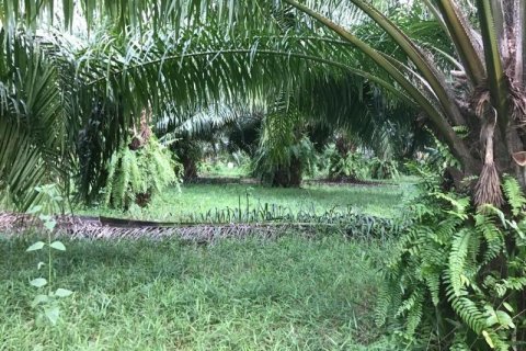 Земельный участок в Кхок Клое, Таиланд  № 124988 - фото 5