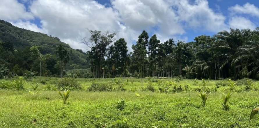 Земельный участок в Кхок Клое, Таиланд  № 124975