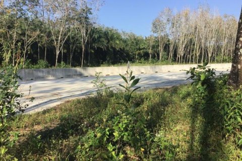 Terrain à Khok Kloi, Thaïlande № 124974 - photo 4