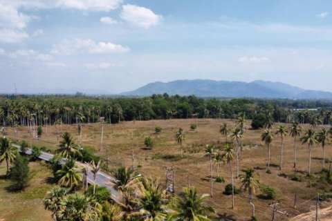 Terrain à Khok Kloi, Thaïlande № 125031 - photo 3