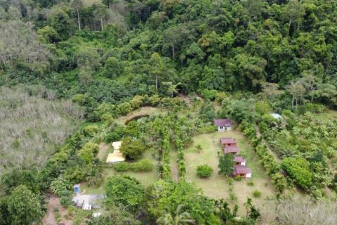 Коммерческая недвижимость в Кхок Клое, Таиланд  № 124922 - фото 1