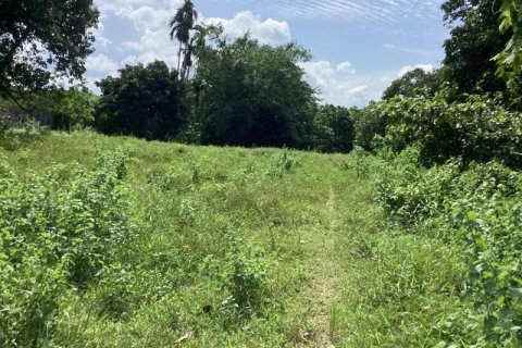 Земельный участок в Кхок Клое, Таиланд  № 124962 - фото 7