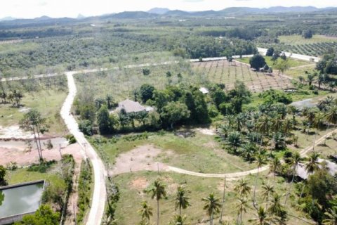 Terrain à Khok Kloi, Thaïlande № 124973 - photo 3
