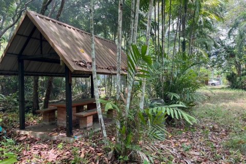 Commercial property in Khok Kloi, Thailand № 124970 - photo 23