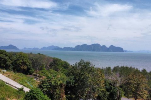 Terrain à Khok Kloi, Thaïlande № 124994 - photo 4