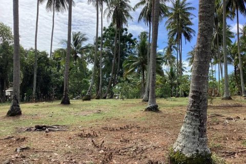 Земельный участок в Кхок Клое, Таиланд  № 124981 - фото 5