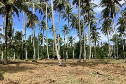 Земельный участок в Кхок Клое, Таиланд  № 124981 - фото 4