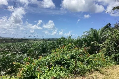 Земельный участок в Кхок Клое, Таиланд  № 124957 - фото 10