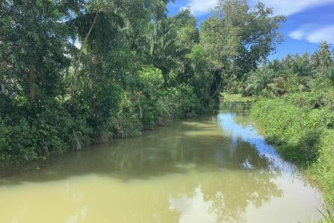 Land in Khok Kloi, Thailand № 124984 - photo 5