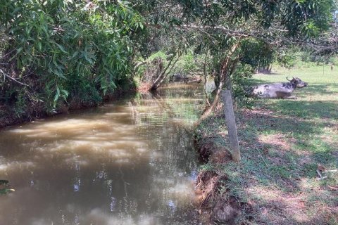 Земельный участок в Кхок Клое, Таиланд  № 124989 - фото 4