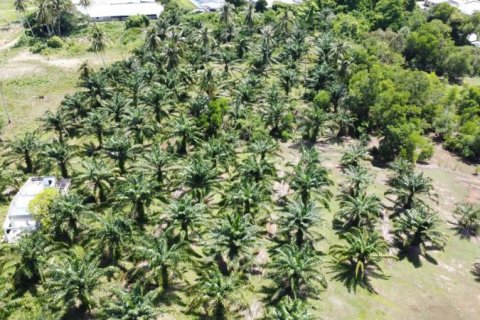 Земельный участок в Кхок Клое, Таиланд  № 124989 - фото 3