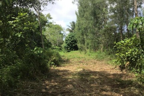 Terrain à Khok Kloi, Thaïlande № 124985 - photo 2