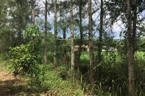 Terrain à Khok Kloi, Thaïlande № 124985 - photo 5