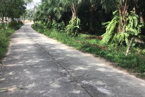 Земельный участок в Кхок Клое, Таиланд  № 124988 - фото 1