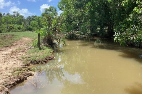 Земельный участок в Кхок Клое, Таиланд  № 124989 - фото 6