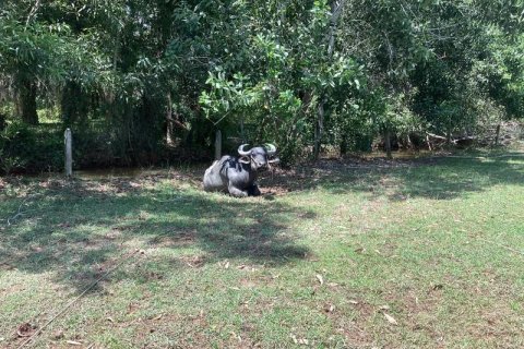 Земельный участок в Кхок Клое, Таиланд  № 124989 - фото 9