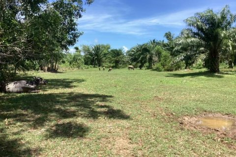 Земельный участок в Кхок Клое, Таиланд  № 124989 - фото 8