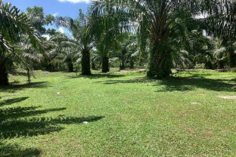 Земельный участок в Кхок Клое, Таиланд  № 124989 - фото 7