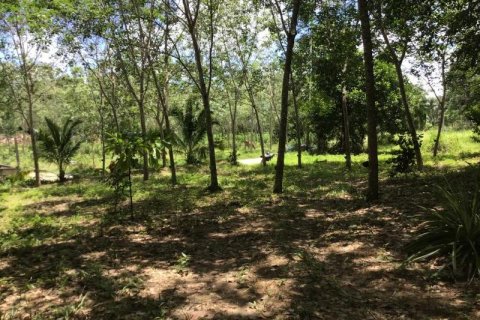 Земельный участок в Кхок Клое, Таиланд  № 124975 - фото 3