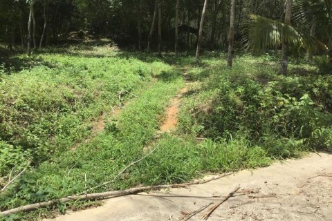 Земельный участок в Кхок Клое, Таиланд  № 124975 - фото 4