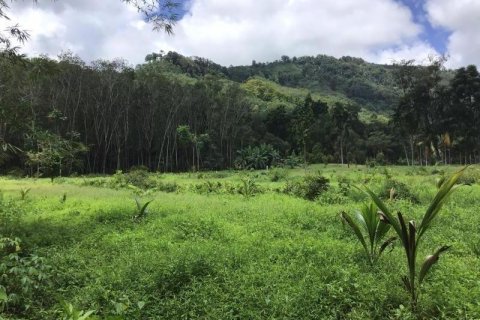 Земельный участок в Кхок Клое, Таиланд  № 124975 - фото 5