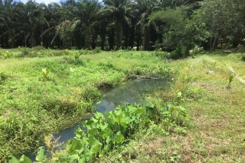 Земельный участок в Кхок Клое, Таиланд  № 124975 - фото 2