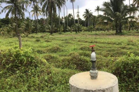 Terrain à Khok Kloi, Thaïlande № 124993 - photo 4