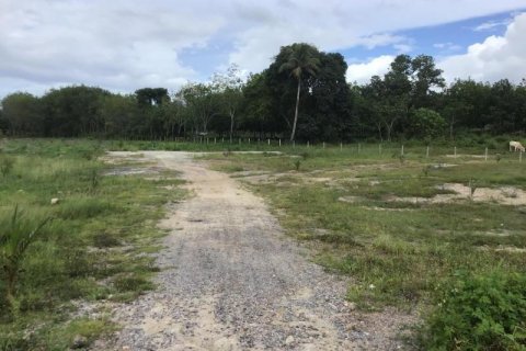 Земельный участок в Кхок Клое, Таиланд  № 124987 - фото 7