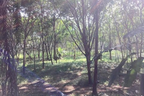 Land in Khok Kloi, Thailand № 124969 - photo 6