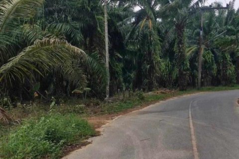 Land in Khok Kloi, Thailand № 124969 - photo 5