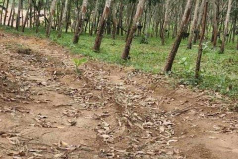 Land in Khok Kloi, Thailand № 124969 - photo 4