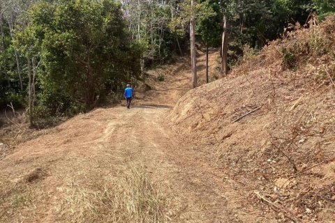 Terrain à Khok Kloi, Thaïlande № 124994 - photo 8