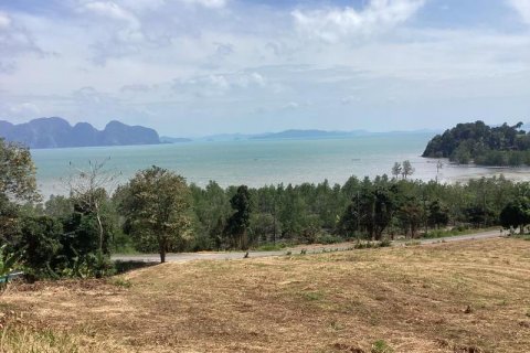 Terrain à Khok Kloi, Thaïlande № 124994 - photo 6