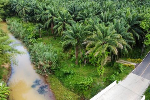Земельный участок в Пхангнге, Таиланд № 124965 - фото 1