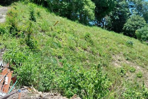 Земельный участок в Самуи, Таиланд  № 123385 - фото 3