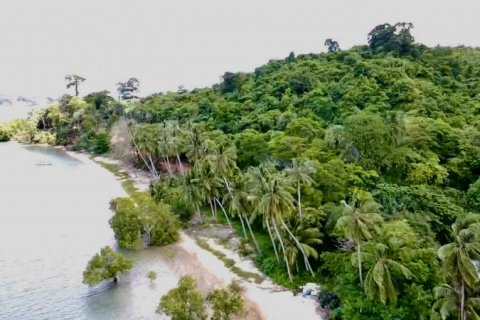 Land in Khok Kloi, Thailand № 125030 - photo 1