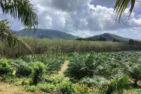 Земельный участок в Кхок Клое, Таиланд  № 124957 - фото 3