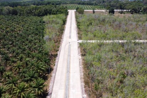 Terrain à Khok Kloi, Thaïlande № 124990 - photo 3