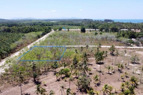 Terrain à Khok Kloi, Thaïlande № 124990 - photo 1