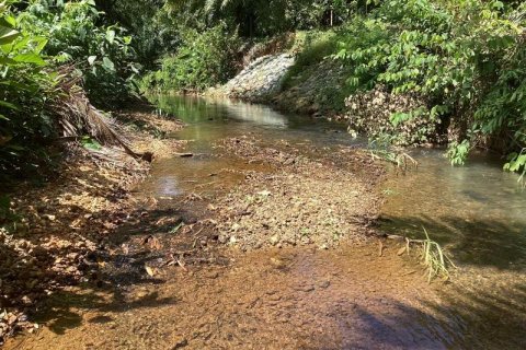 Земельный участок в Пхангнге, Таиланд  № 124972 - фото 8