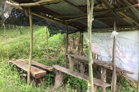 Земельный участок в Кхок Клое, Таиланд  № 124975 - фото 7