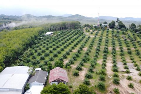 Дом в Кхок Клое, Таиланд с 3 спальнями  № 124951 - фото 3