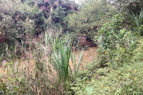 Земельный участок в Пхангнге, Таиланд № 124965 - фото 7